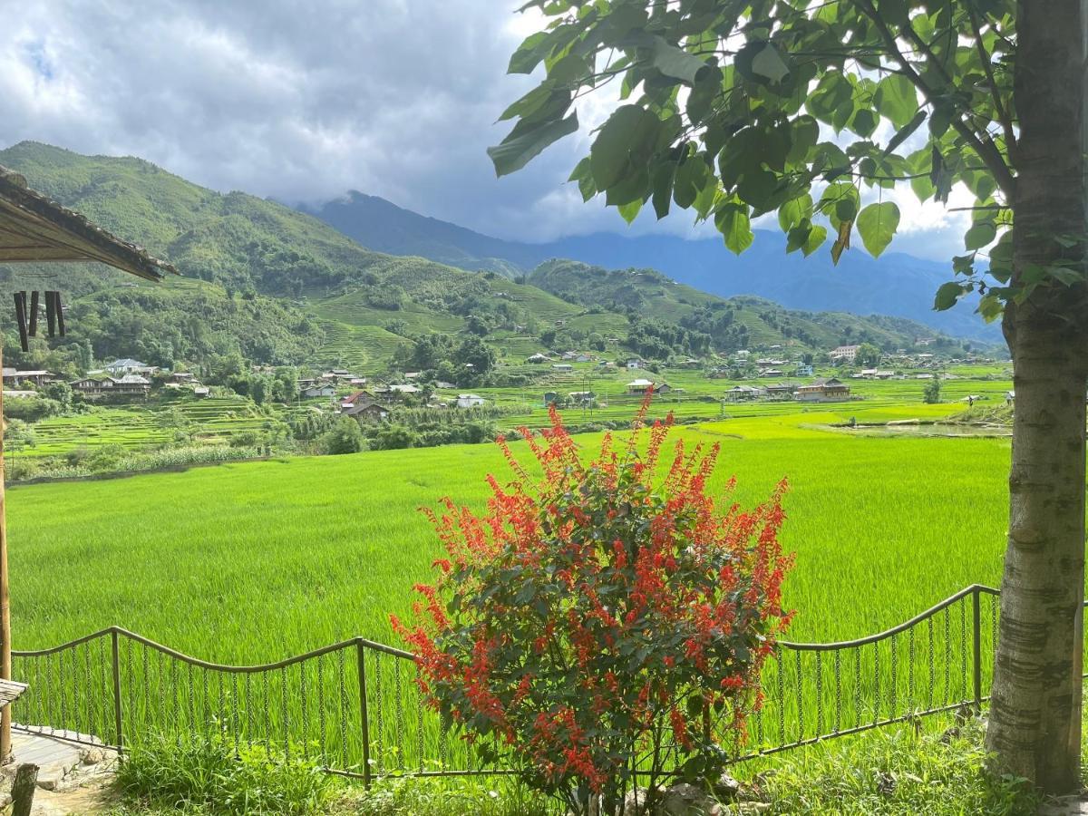 Sapa Bamboo Eco Guest House Eksteriør bilde