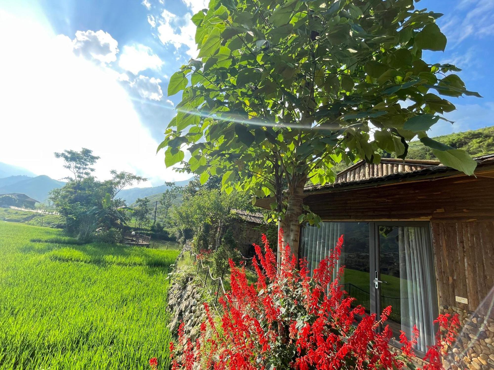Sapa Bamboo Eco Guest House Eksteriør bilde