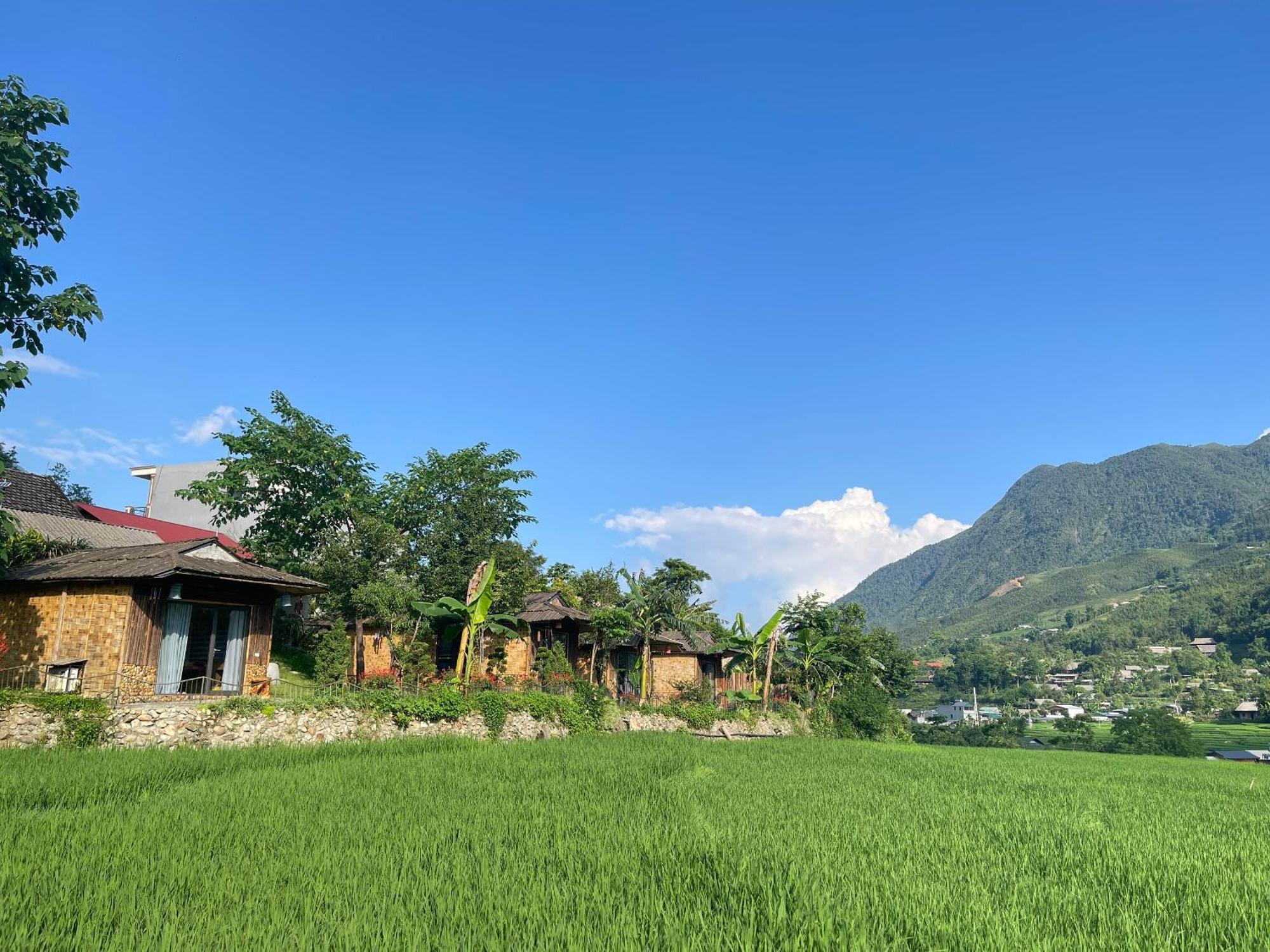 Sapa Bamboo Eco Guest House Eksteriør bilde