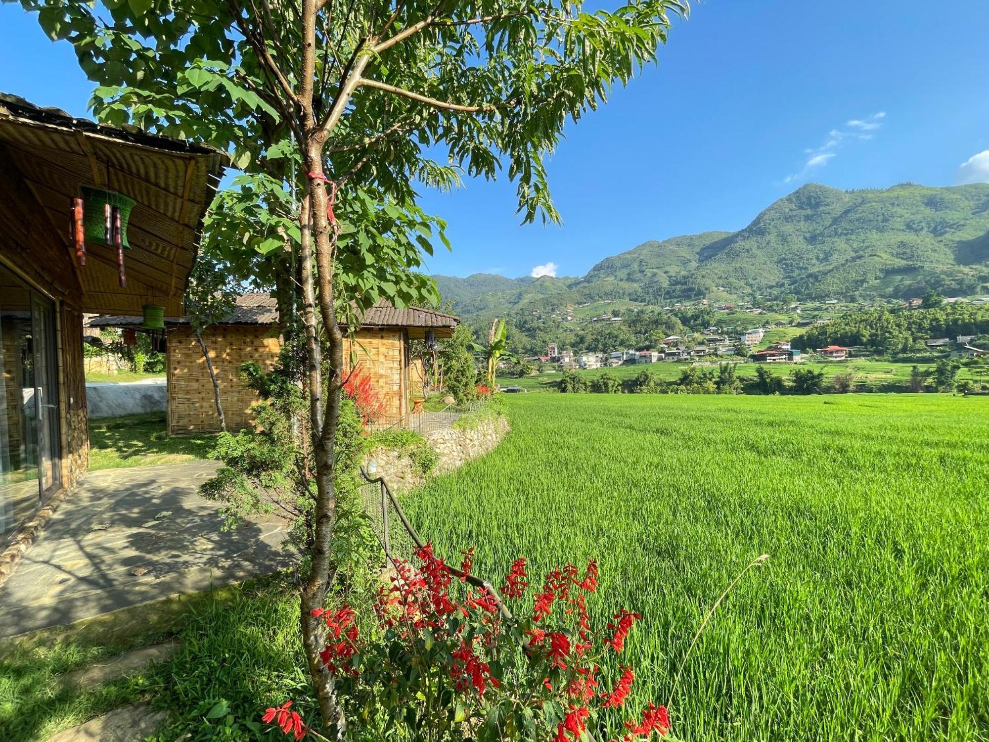 Sapa Bamboo Eco Guest House Eksteriør bilde