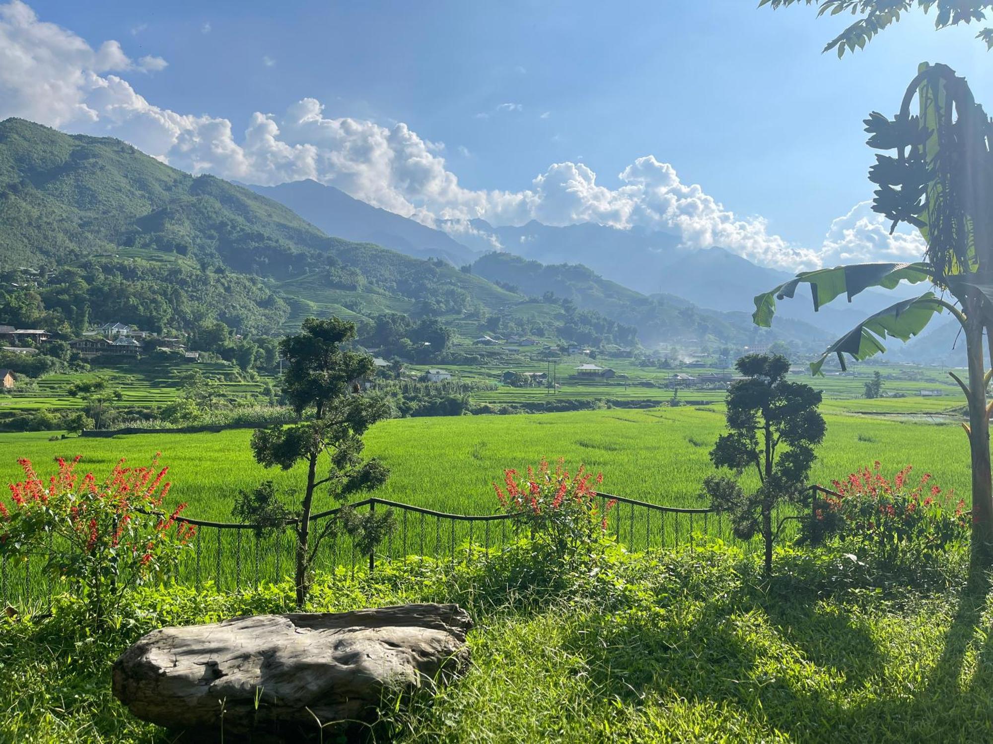 Sapa Bamboo Eco Guest House Eksteriør bilde